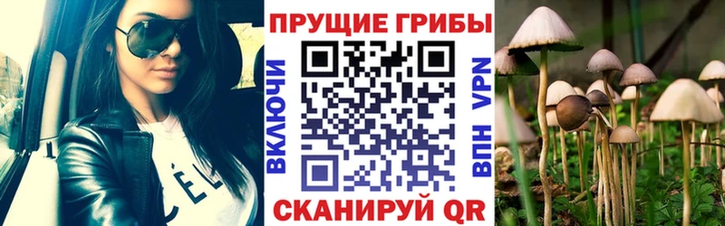 Псилоцибиновые грибы мицелий Омск