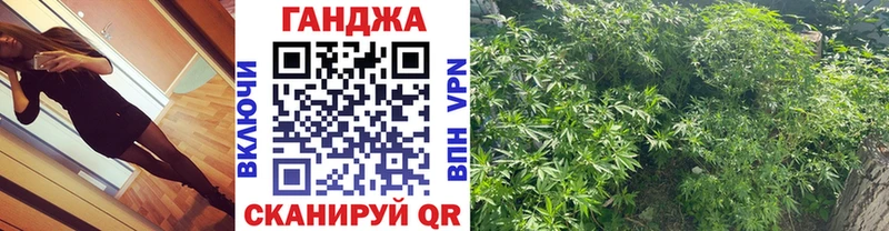 Шишки марихуана сатива  как найти наркотики  Омск 